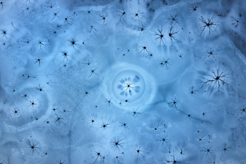 Illustration for article titled Las mejores fotos tomadas con drones del año son simplemente fascinantes